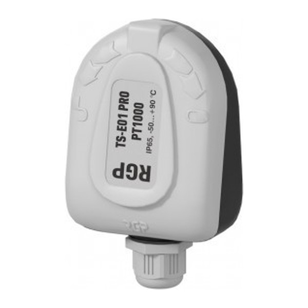 Датчик температуры наружного воздуха RGP TS-E02 PRO PT100